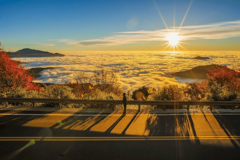 Ngắm bình minh tại Alishan.